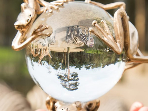 Future For Nature