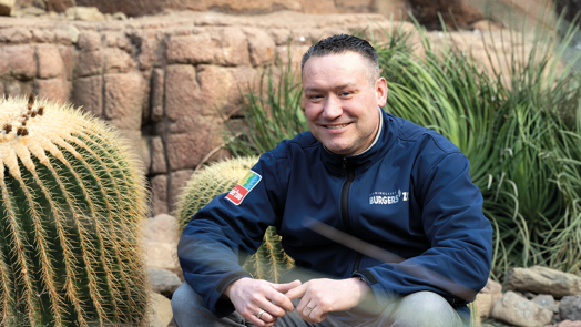 Colourful professions in a dynamic zoo