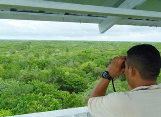 Supporting nature
