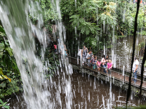 Tropical climate