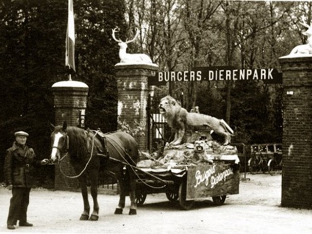 Battle of Arnhem