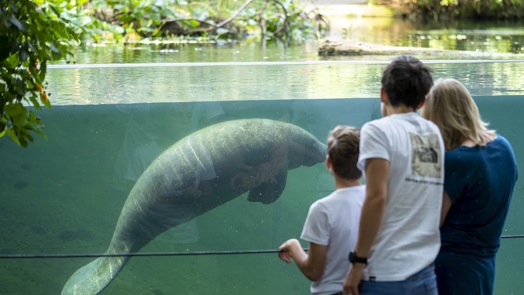 Burgers' Zoo proud of two Michelin stars