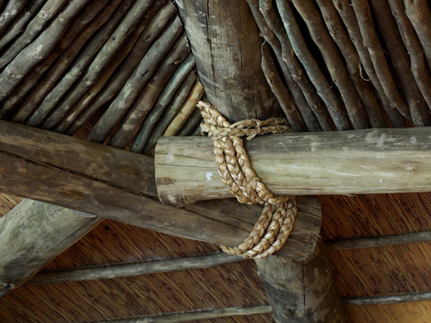 FSC-Wood