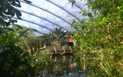 What is an eco-display? The Mangrove
