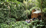 What is an eco-display? The Bush